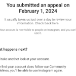 مشکل اینستاگرام we suspended your account on تعلیق شدن پیج